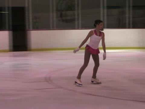 GOE Figure Skating Scoring: Survey Results – Double Loop (Trevor Laak)