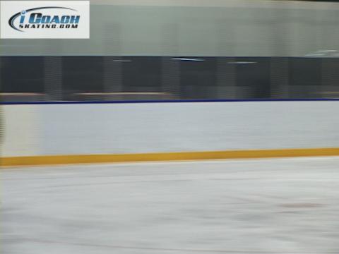 Triple Flip and Triple Loop Lesson (Michelle Leigh)